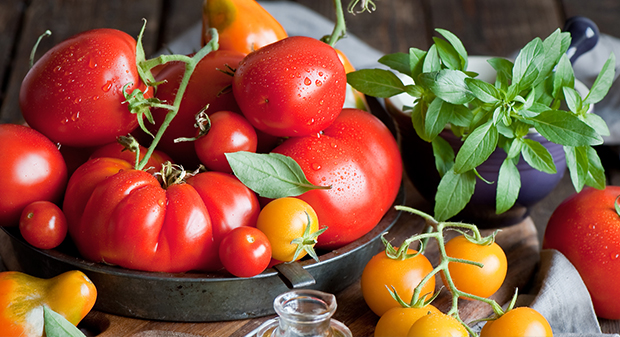 單雙道打漿機(jī)的技術(shù)參數(shù)有哪些？